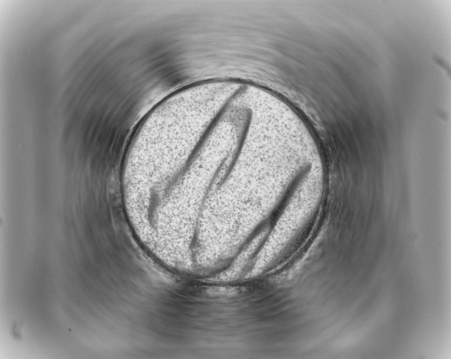 X0000094951521200712201126