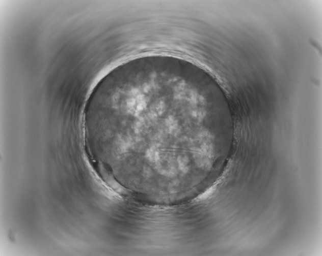 X0000094951522200712201126