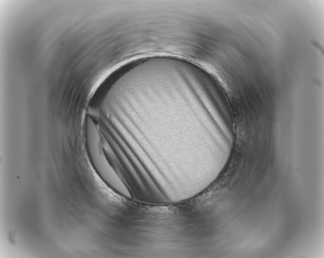 X0000094951524200712201126