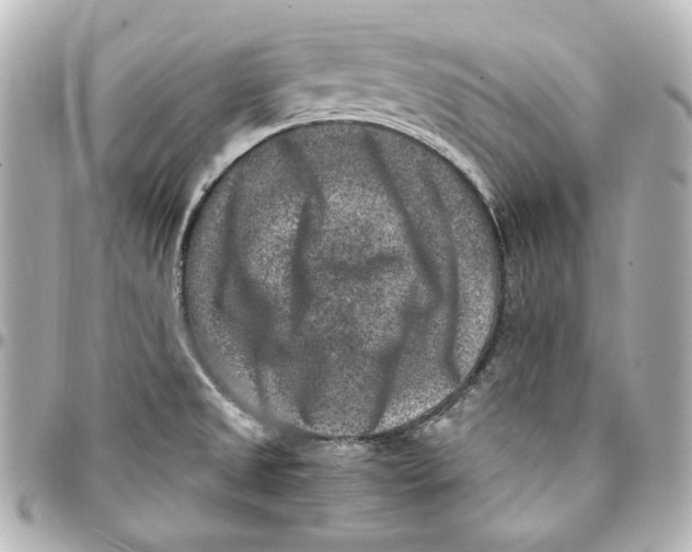 X0000094951525200712201126