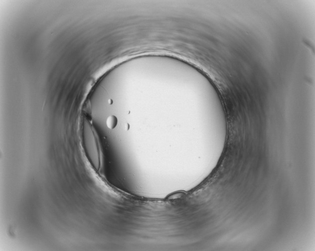 X0000094951526200712201126