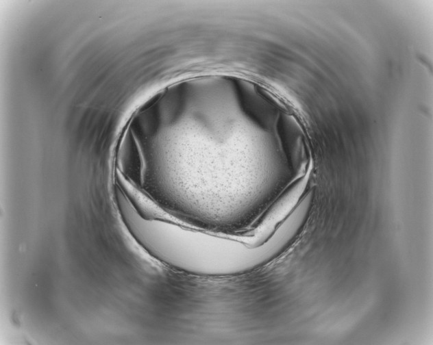 X0000094951528200712201126