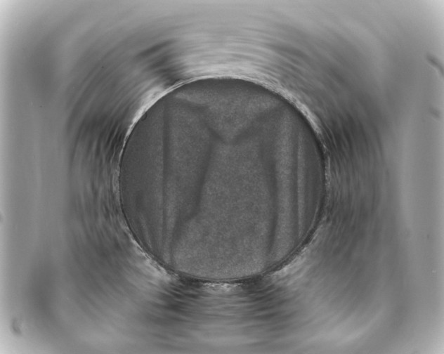 X0000094951529200712201126