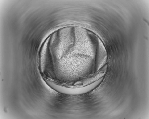 X0000094951531200712201126