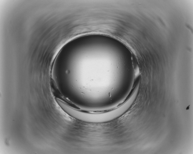 X0000094951532200712201126