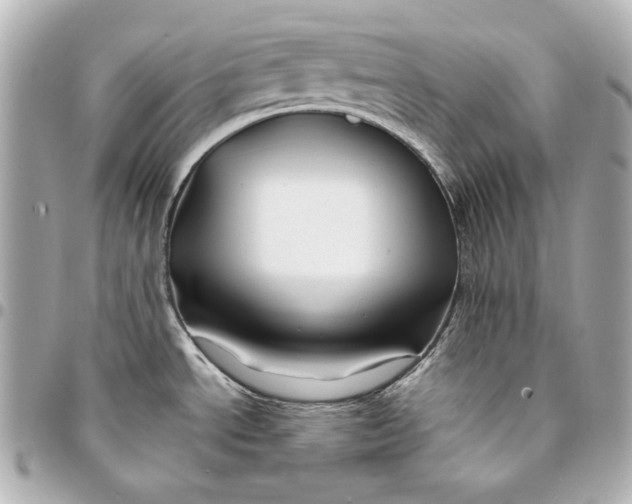 X0000094951534200712201126