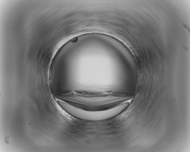 X0000094951535200712201126