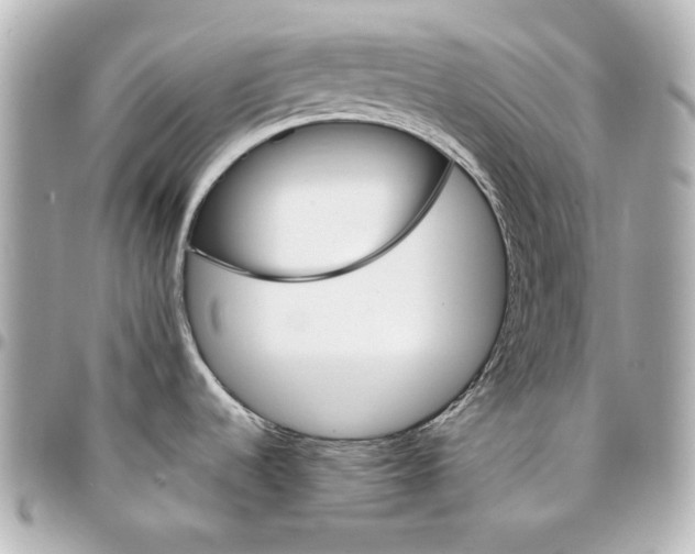 X0000094951536200712201126