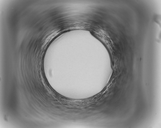 X0000094950001200712271708