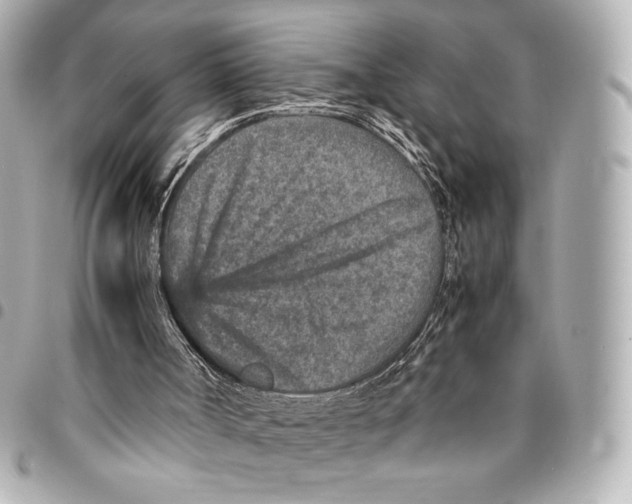 X0000094950002200712271708