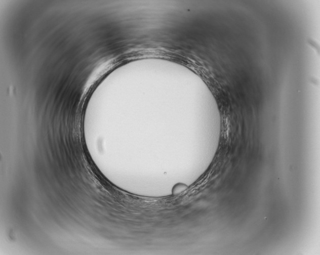 X0000094950004200712271708