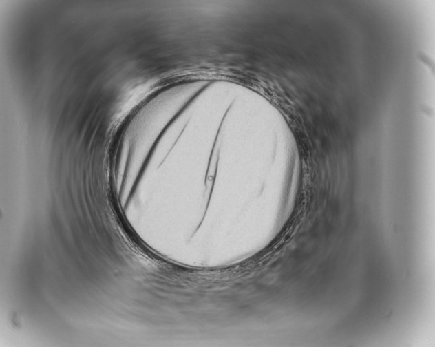 X0000094950005200712271708