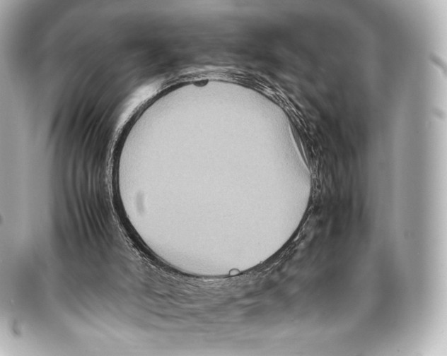 X0000094950006200712271708