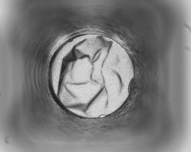 X0000094950007200712271708