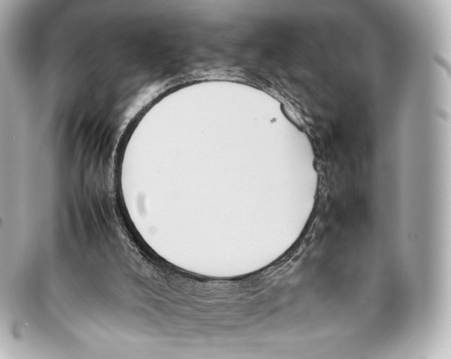 X0000094950008200712271708