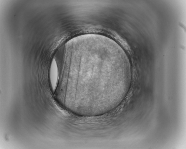 X0000094950009200712271708