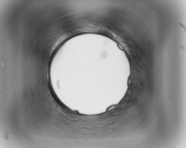 X0000094950011200712271708