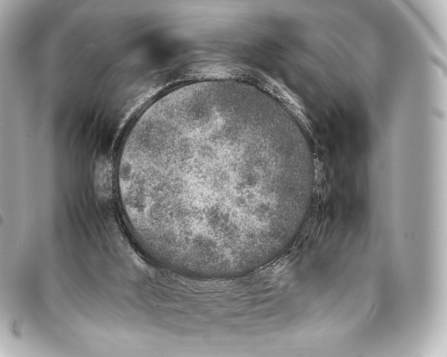 X0000094950012200712271708