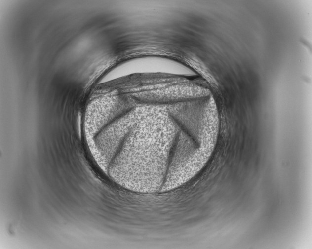 X0000094950014200712271707