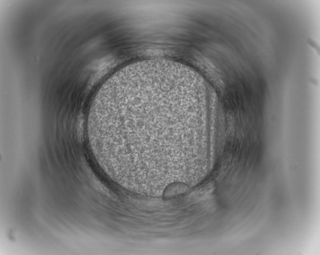 X0000094950016200712271707