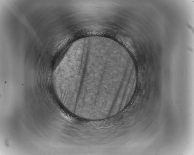 X0000094950017200712271707