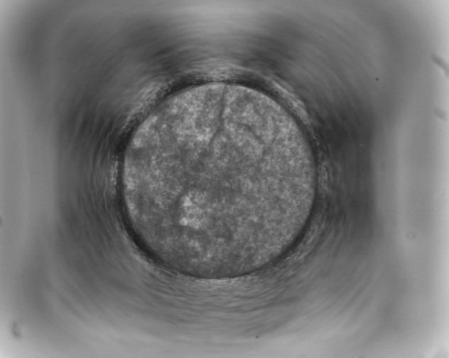 X0000094950018200712271707