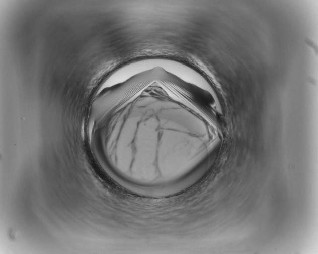 X0000094950019200712271707