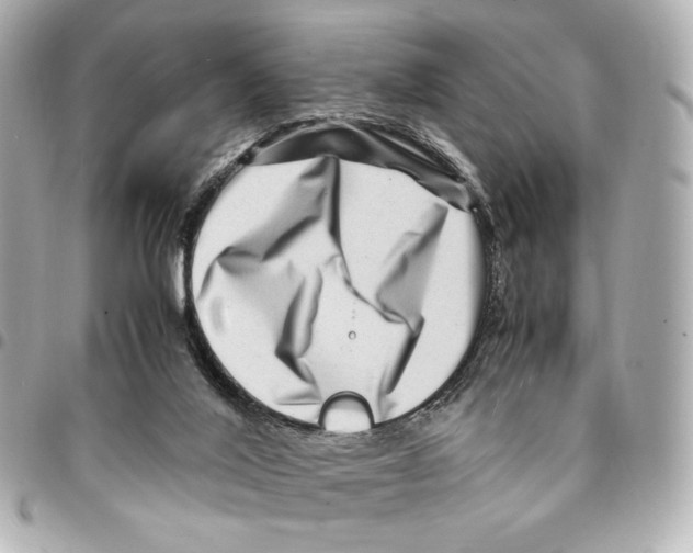 X0000094950020200712271707