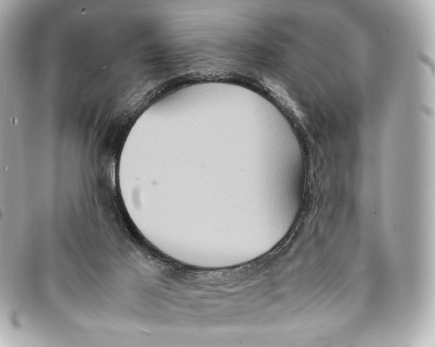 X0000094950021200712271707