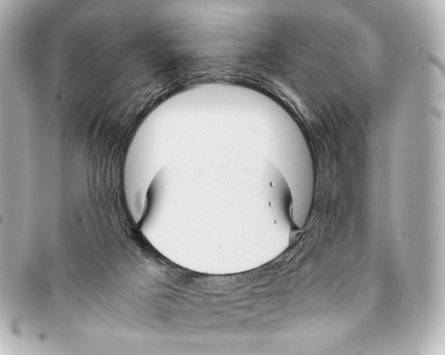 X0000094950025200712271707