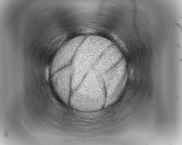 X0000094950026200712271707