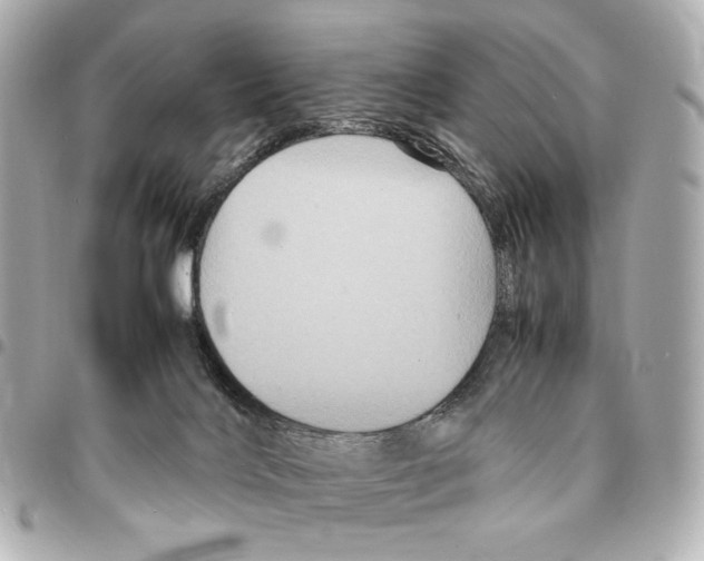 X0000094950028200712271707