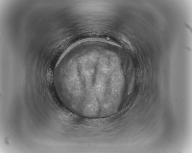 X0000094950029200712271707