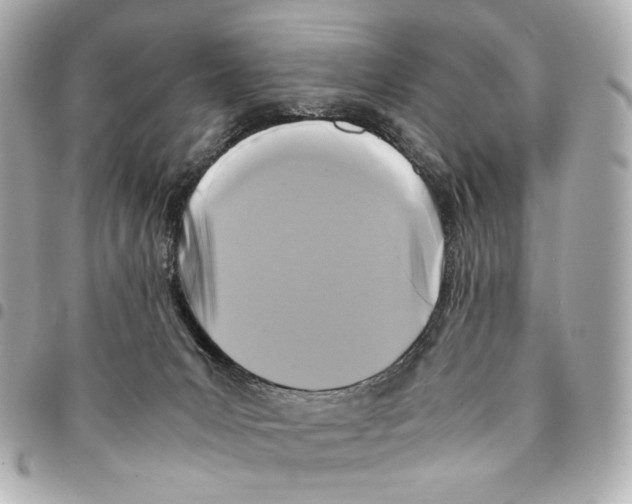 X0000094950031200712271707