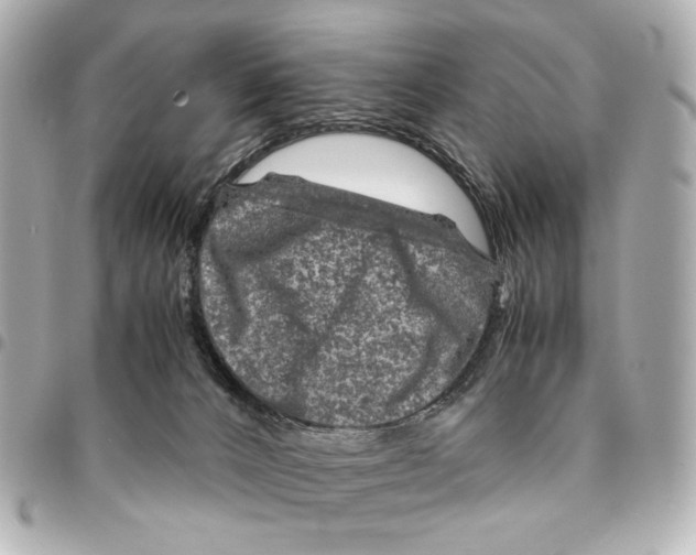 X0000094950032200712271707