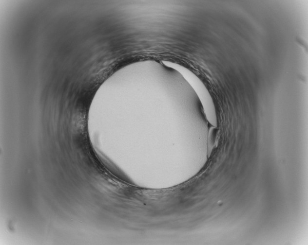 X0000094950033200712271707