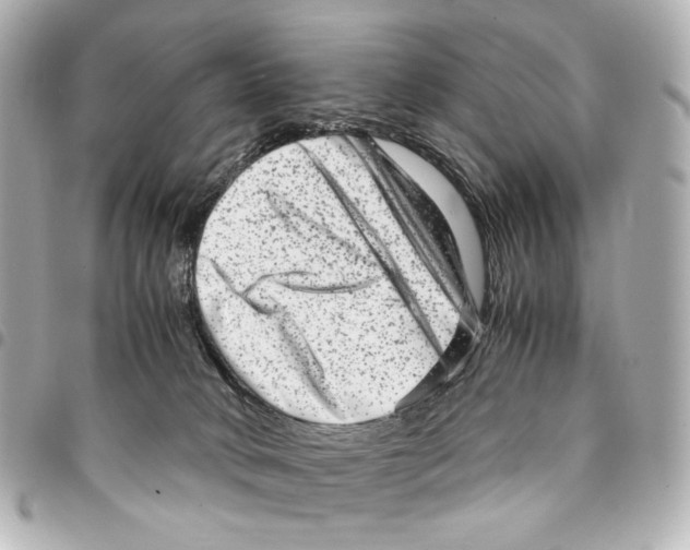 X0000094950034200712271707