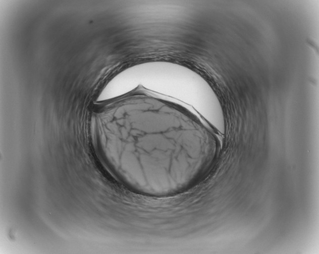 X0000094950035200712271707