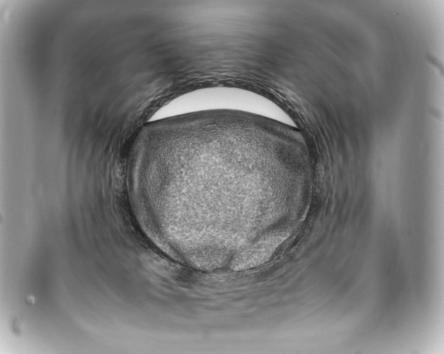 X0000094950037200712271707