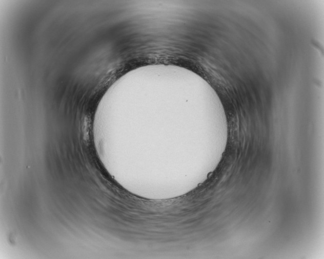 X0000094950038200712271707