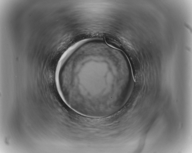 X0000094950039200712271707