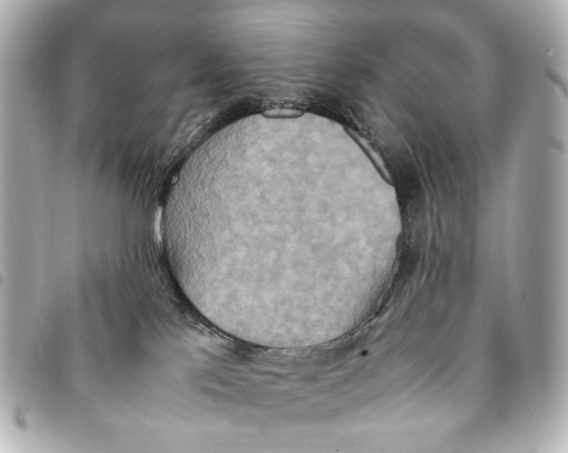 X0000094950041200712271707