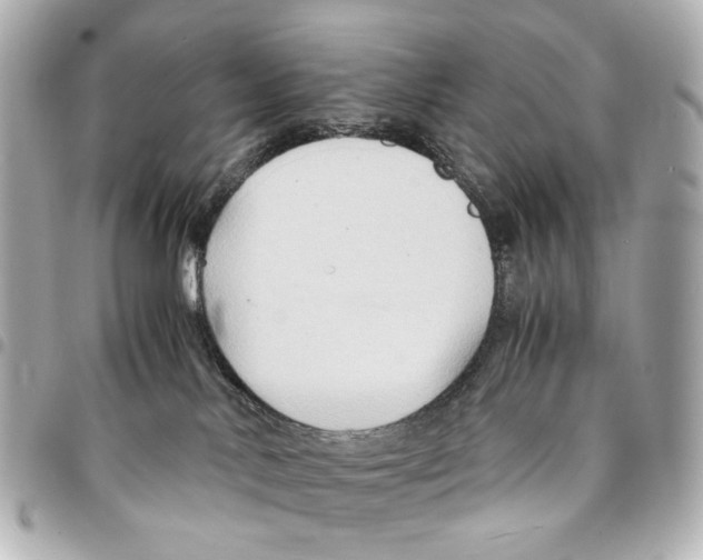 X0000094950042200712271707