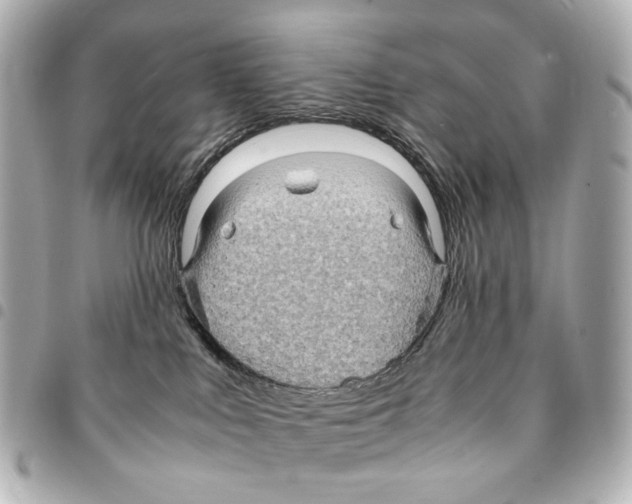 X0000094950043200712271707