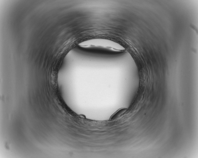 X0000094950044200712271707