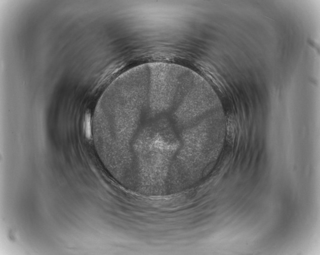 X0000094950046200712271707