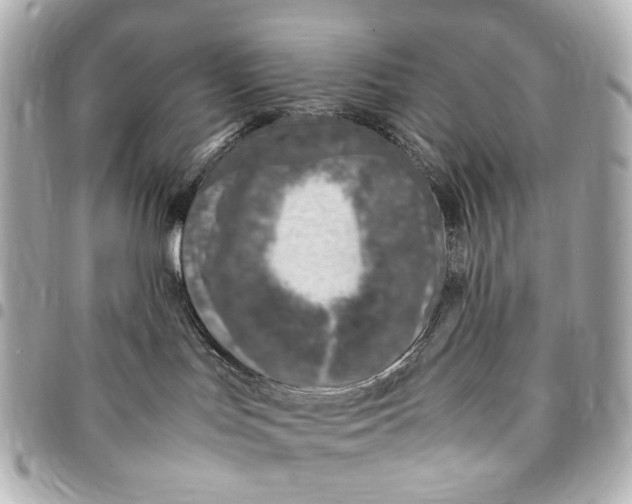 X0000094950047200712271707