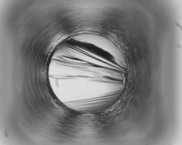 X0000094950050200712271706