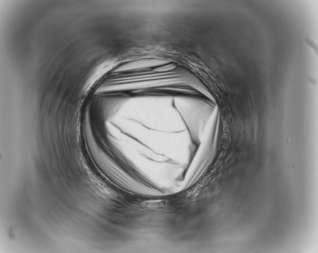 X0000094950054200712271706