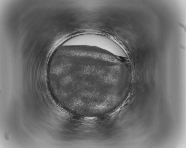 X0000094950055200712271706